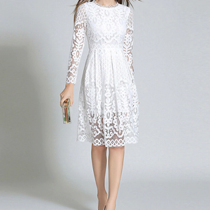 Long Sleeve Lace Mini Dress