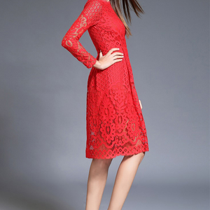 Long Sleeve Lace Mini Dress