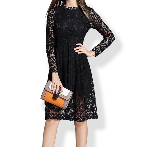 Long Sleeve Lace Mini Dress