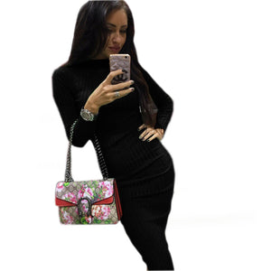 Long Sleeve Elegant Package Hip Dress