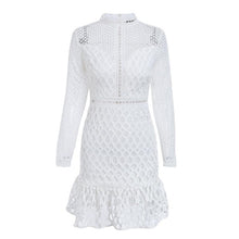 Elegant Long Sleeve Mini Dress