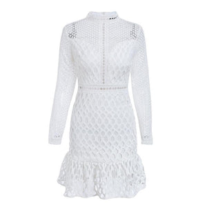 Elegant Long Sleeve Mini Dress
