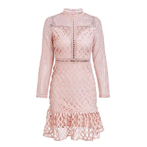 Elegant Long Sleeve Mini Dress