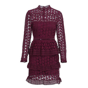 Elegant Long Sleeve Mini Dress