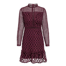Elegant Long Sleeve Mini Dress