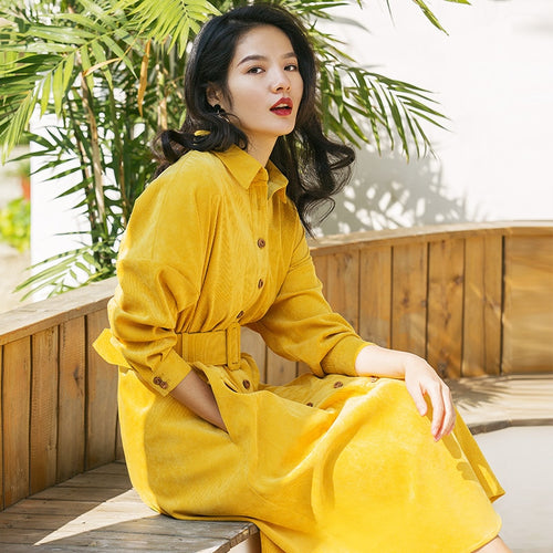 Long Sleeve Shirtwaist Dress With Belt