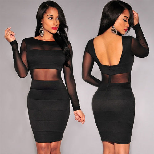 Long Sleeve Mesh Bodycon Pencil Dress